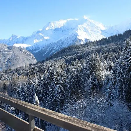 Le Cristal Du Mont-blanc